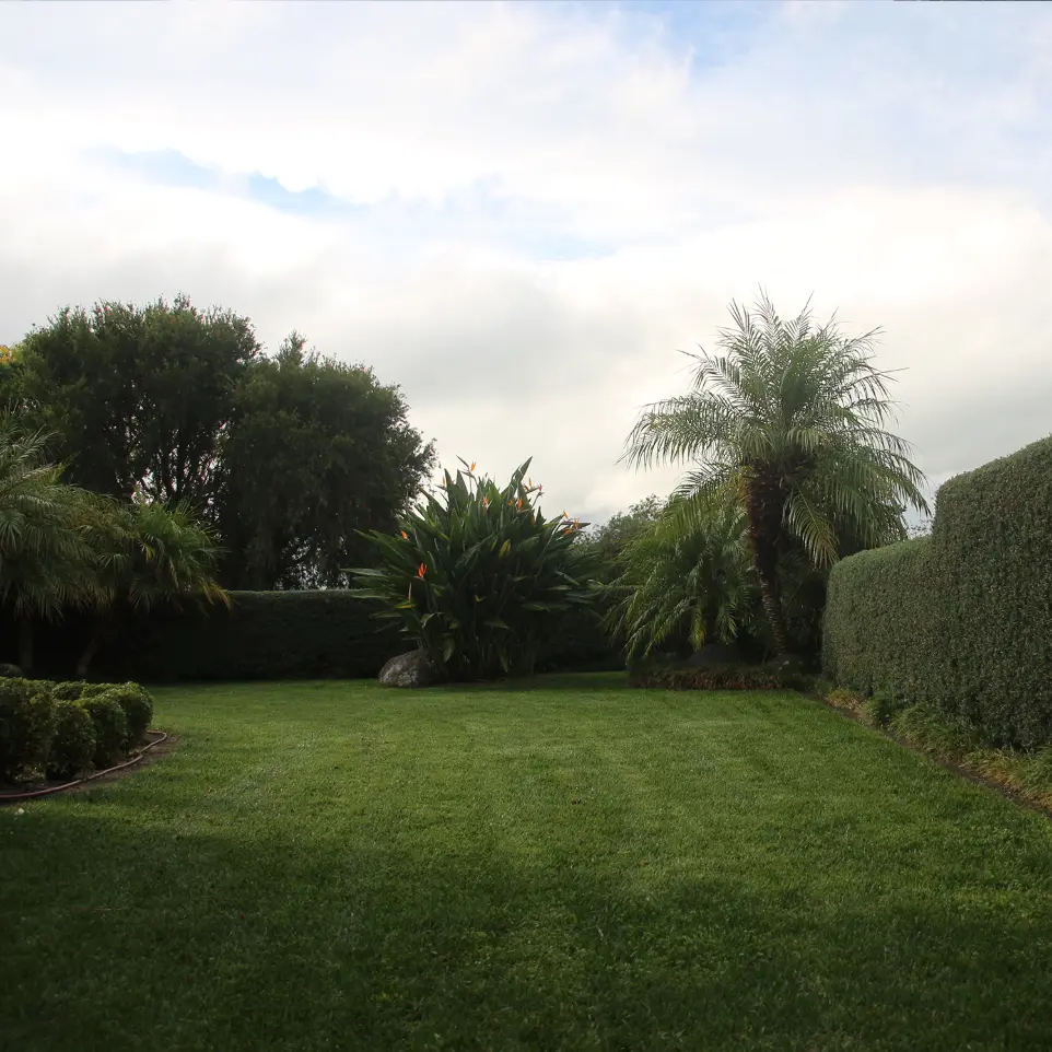 Shelly Park garden