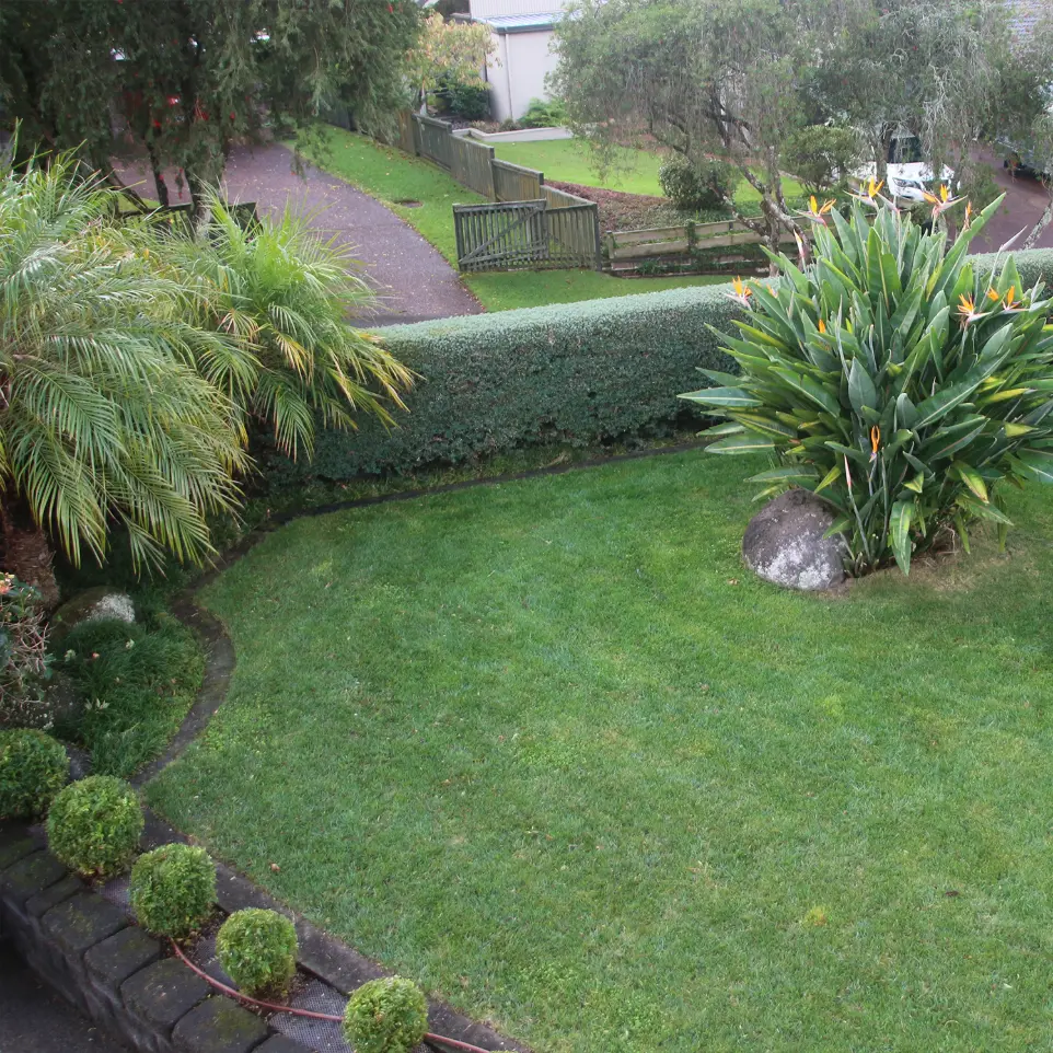 Shelly Park garden