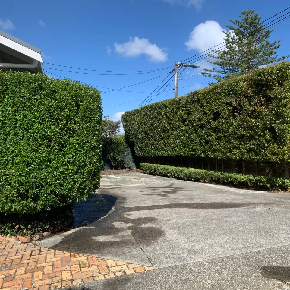 Remuera garden