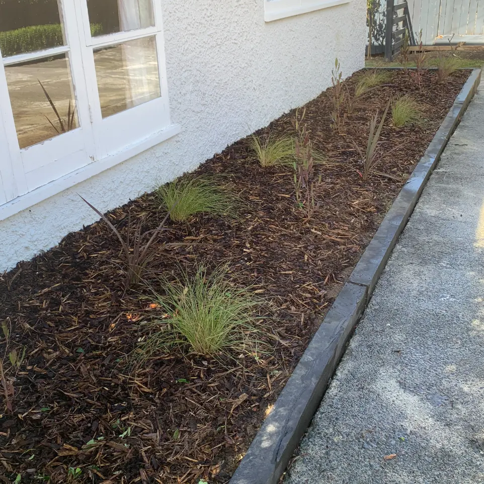 Remuera garden