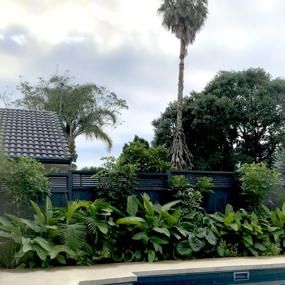 Mt Eden garden