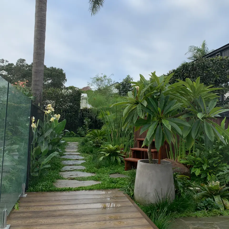 Mt Eden garden