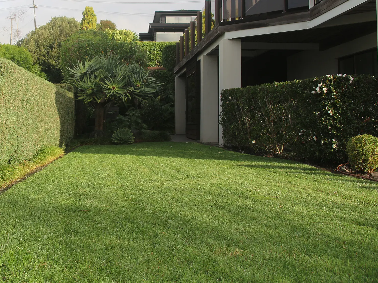 Shelly Park lawn