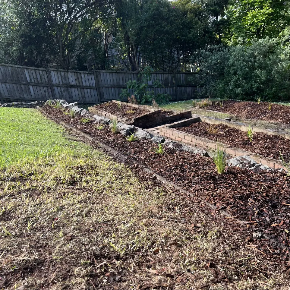 St Heliers native garden