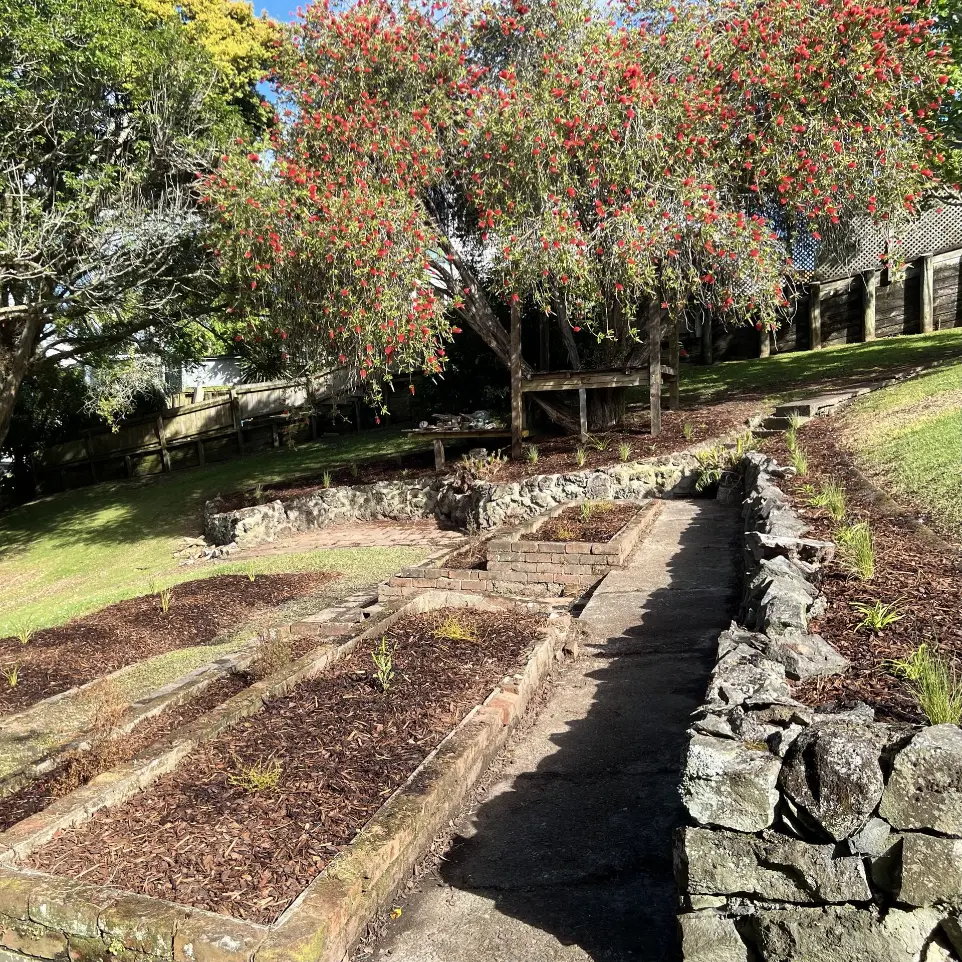 St Heliers native garden