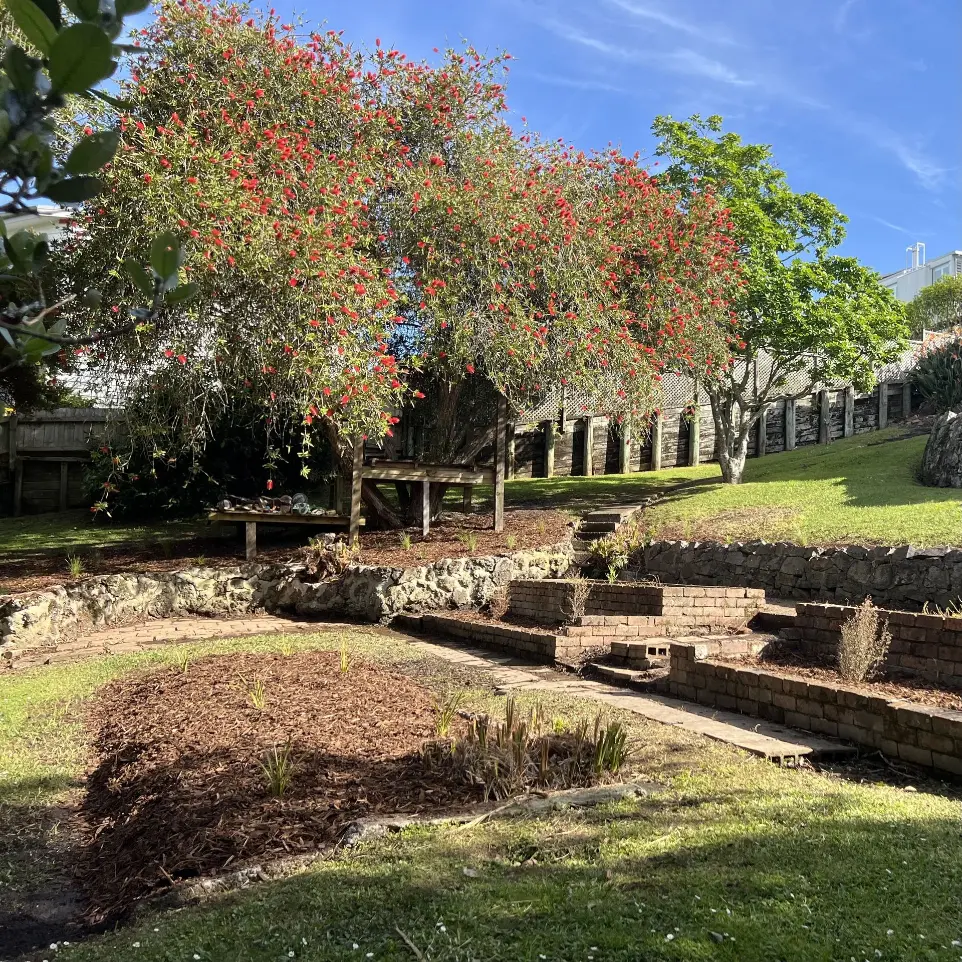 St Heliers native garden