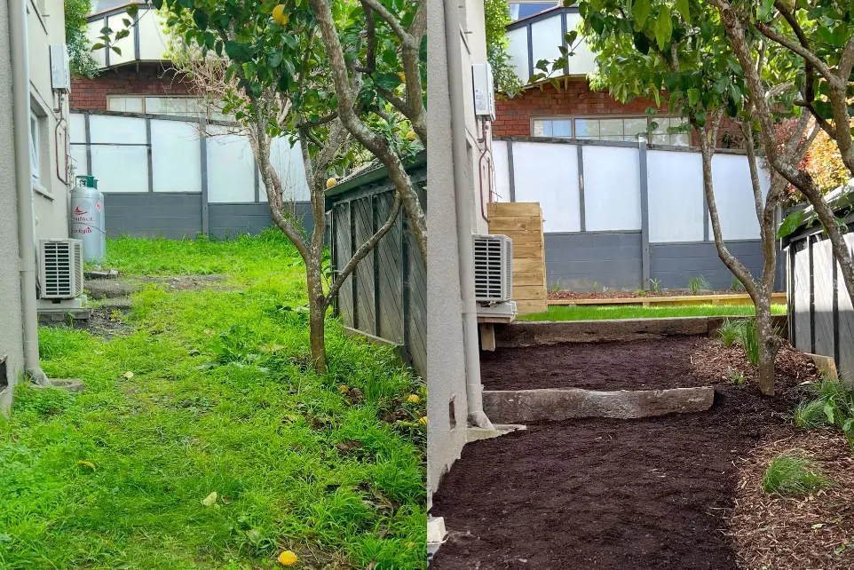 St Heliers landscaping