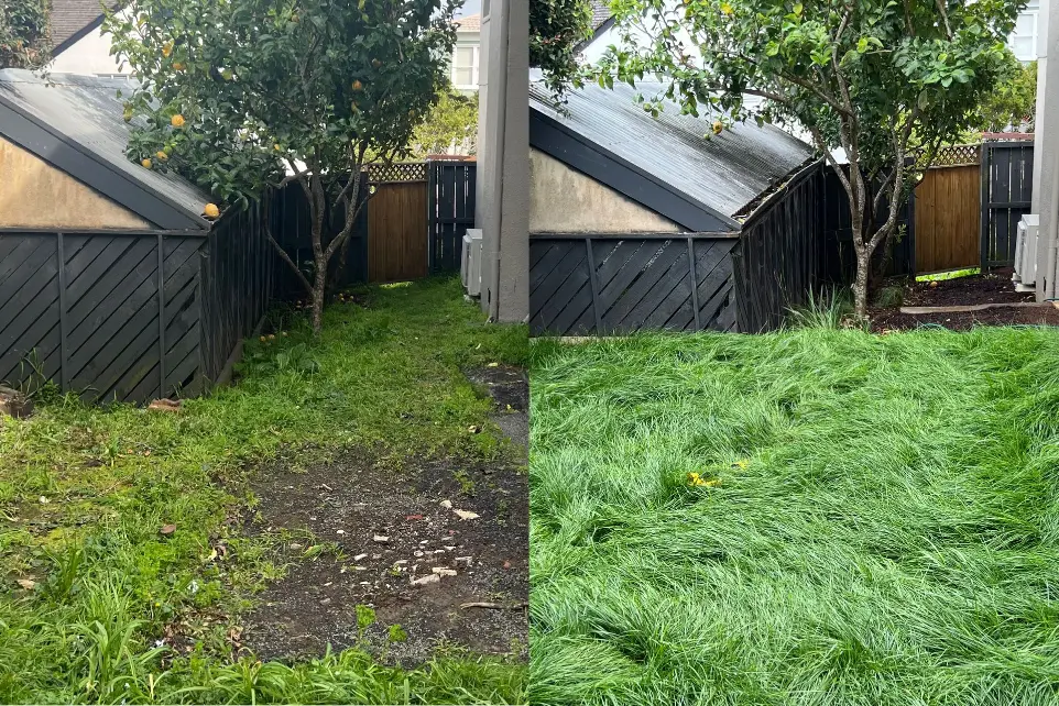 St Heliers landscaping